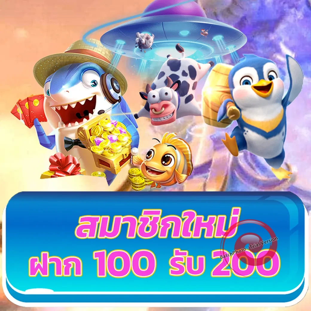 pk711 เว็บตรง